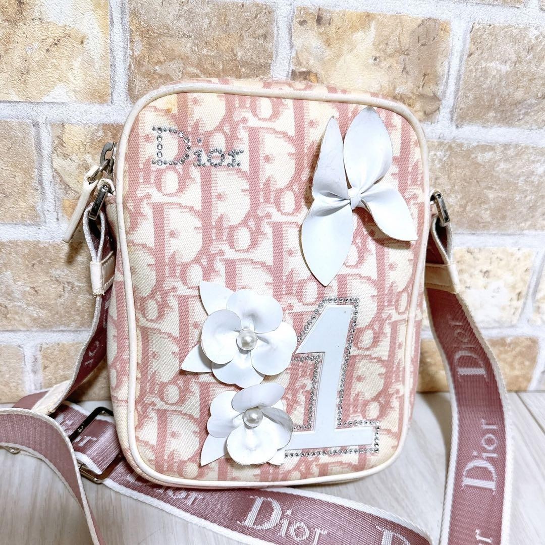 Christian Dior Shoulder Bag Purse Trotter No.1 Authentic