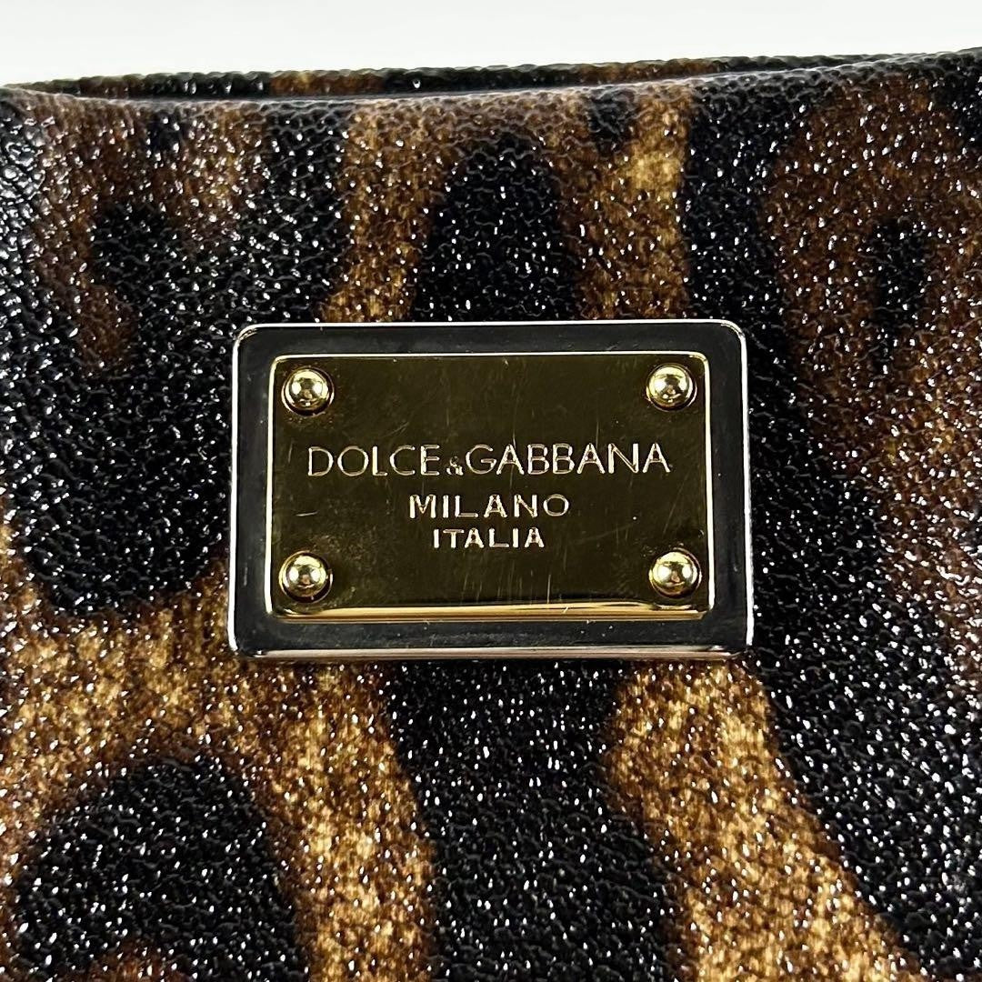 Dolce & Gabbana Hand Bag Tote Purse Leopard PVC Leather Brown Authentic