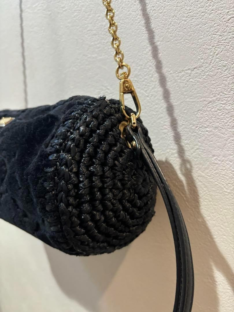 Dolce & Gabbana Shoulder Bag Purse 2way Leopard Black Authentic