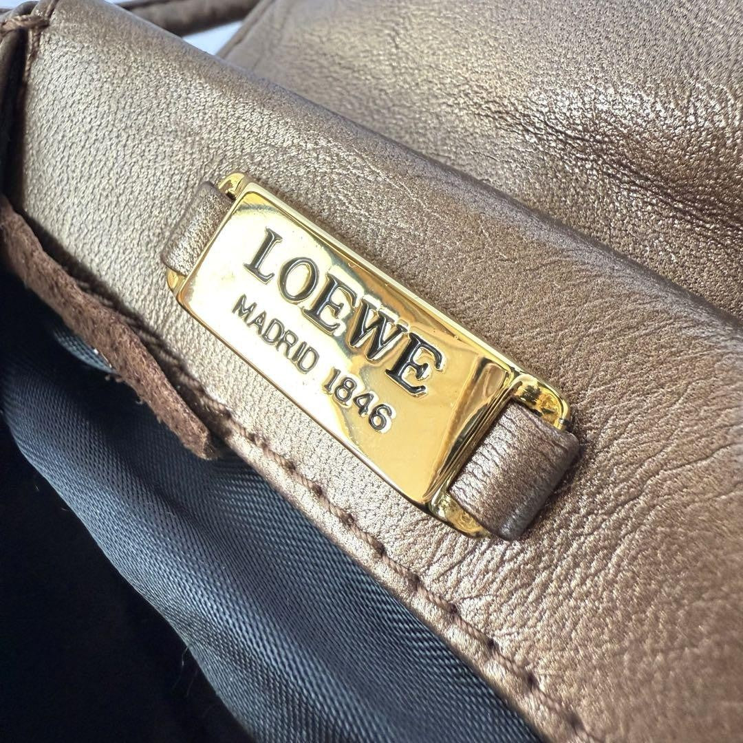 LOEWE Shoulder Bag Purse Leather Brown Authentic
