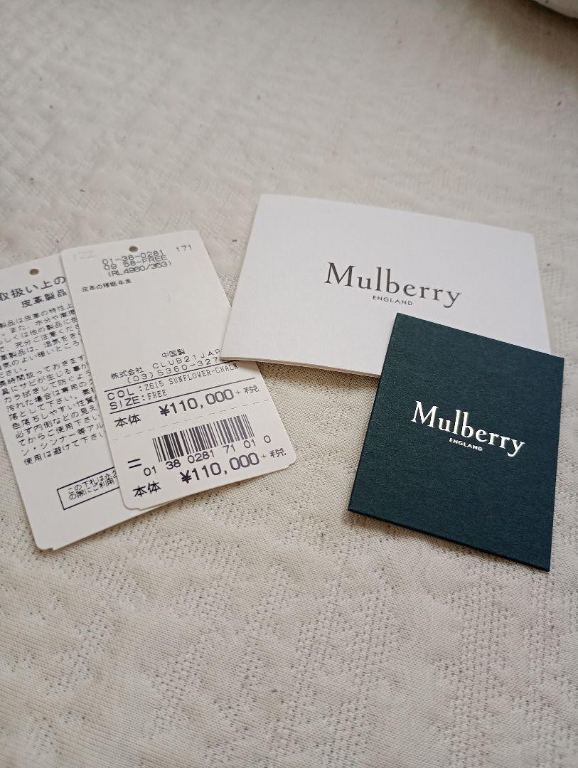 MULBERRY Shoulder Bag Purse Chain Leather Burgundy Gray Cream Yellow Authentic