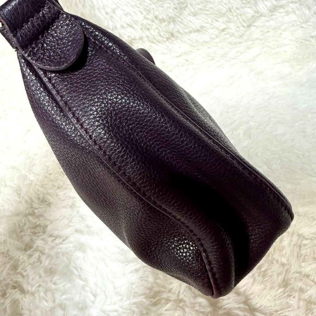 Longchamp Shoulder Bag Purse Accessory Pouch Leather Purple Authentic