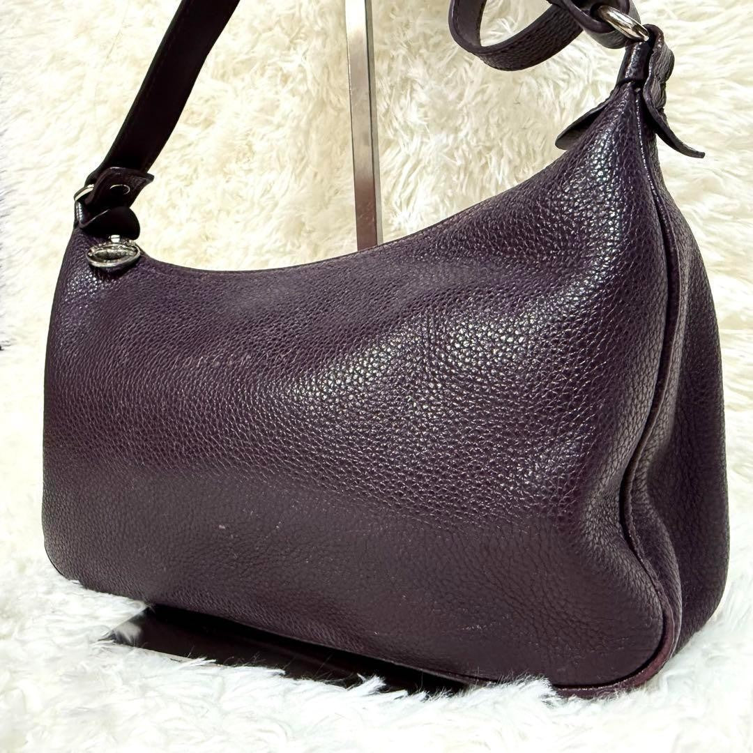 Longchamp Shoulder Bag Purse Accessory Pouch Leather Purple Authentic
