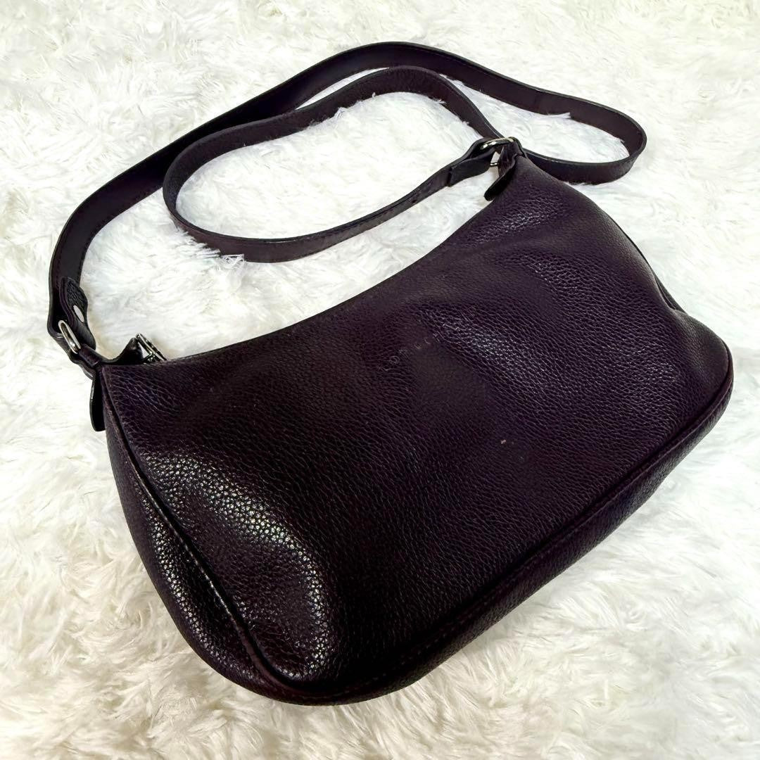 Longchamp Shoulder Bag Purse Accessory Pouch Leather Purple Authentic