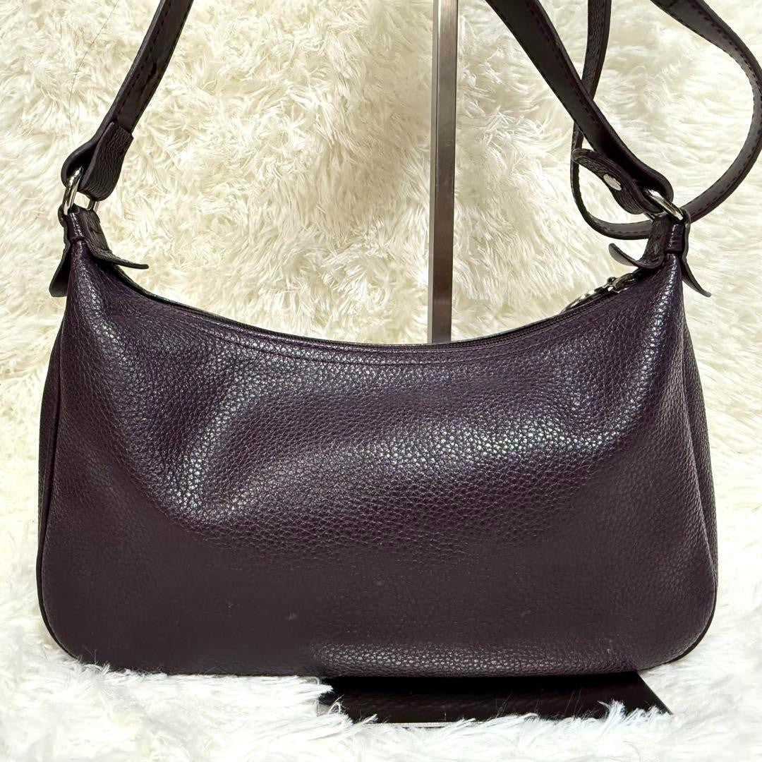 Longchamp Shoulder Bag Purse Accessory Pouch Leather Purple Authentic