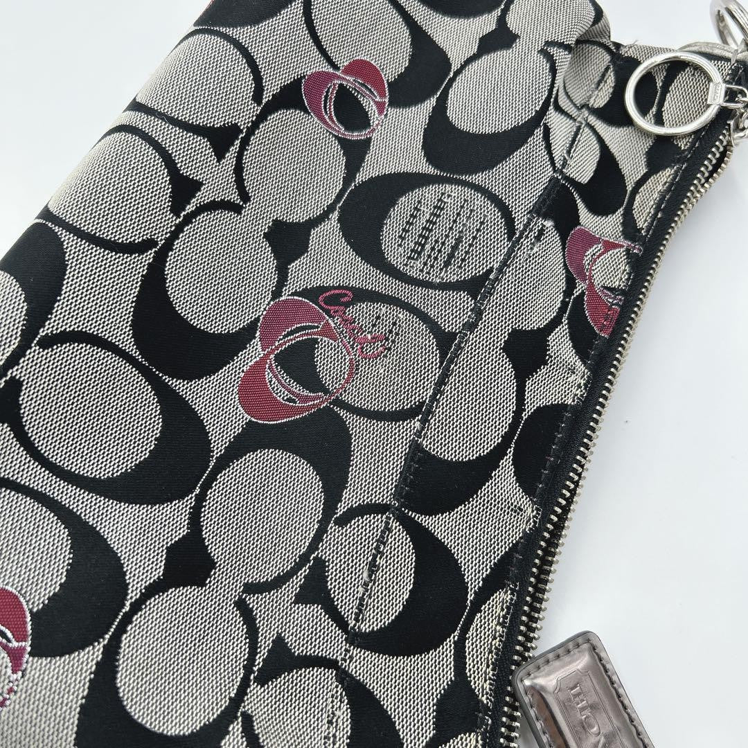 COACH Shoulder Bag Purse Accessory Pouch Signature Authentic