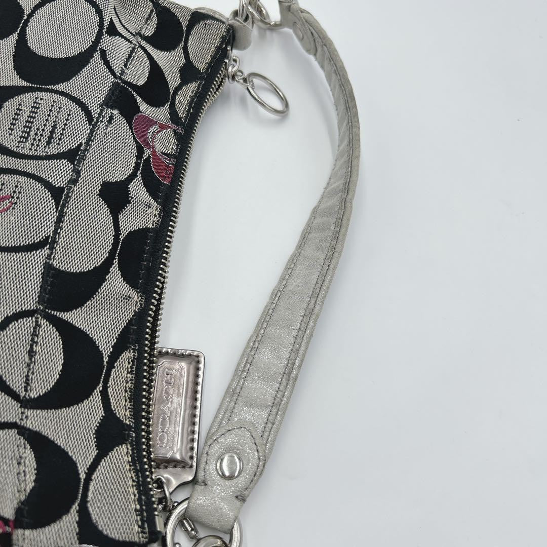 COACH Shoulder Bag Purse Accessory Pouch Signature Authentic