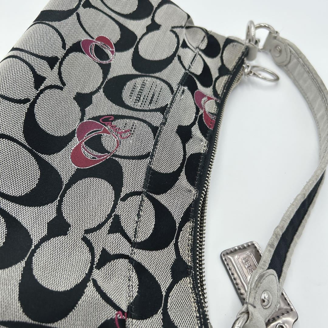 COACH Shoulder Bag Purse Accessory Pouch Signature Authentic