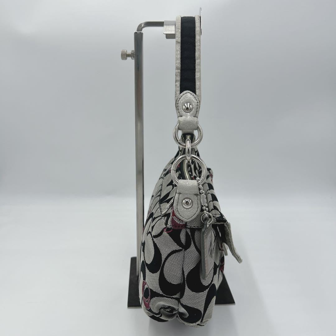 COACH Shoulder Bag Purse Accessory Pouch Signature Authentic