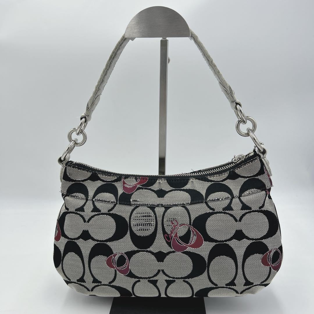 COACH Shoulder Bag Purse Accessory Pouch Signature Authentic