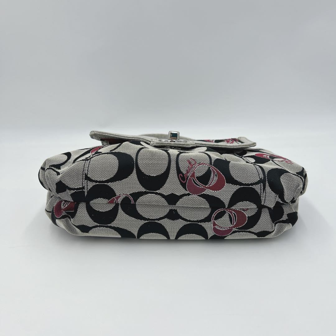 COACH Shoulder Bag Purse Accessory Pouch Signature Authentic