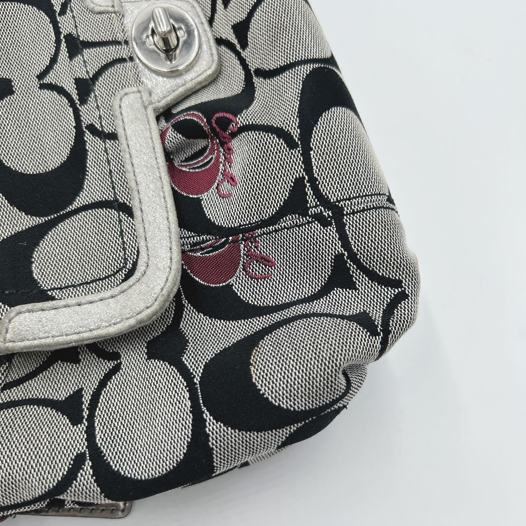 COACH Shoulder Bag Purse Accessory Pouch Signature Authentic