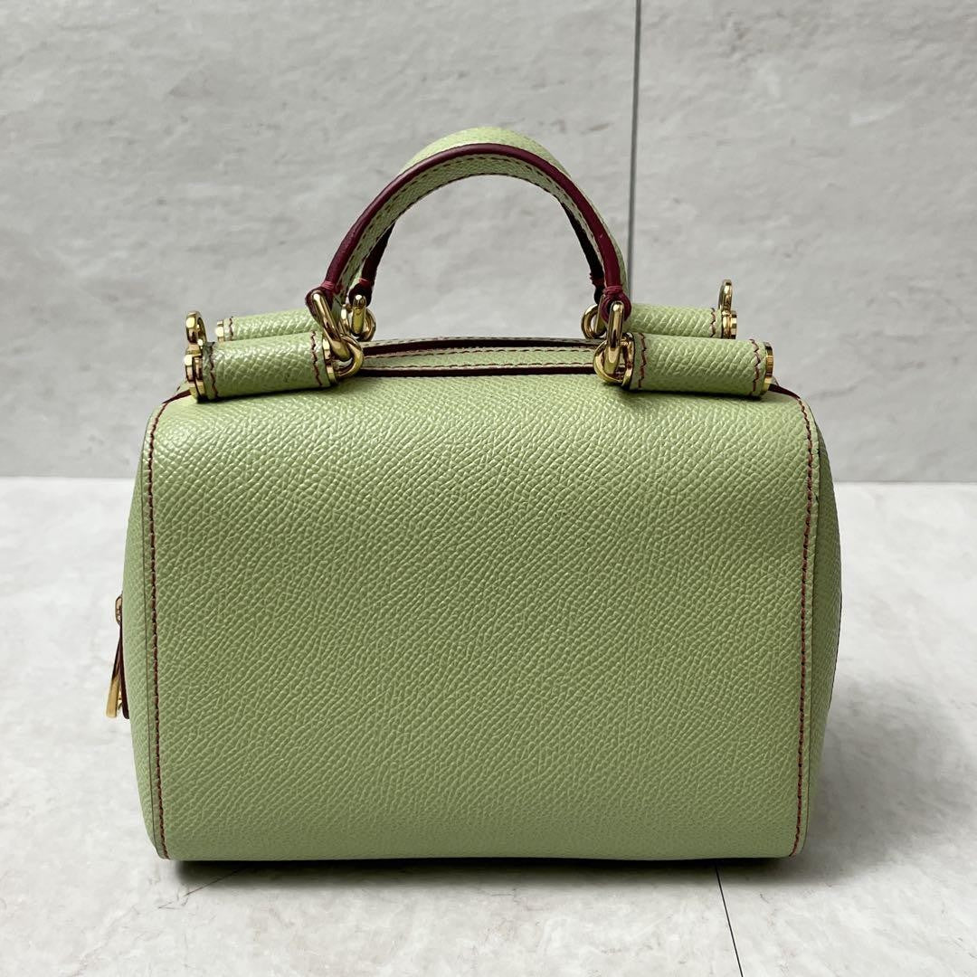 Dolce & Gabbana Hand Shoulder Bag Tote Purse 2way Leopard Leather Green Auth