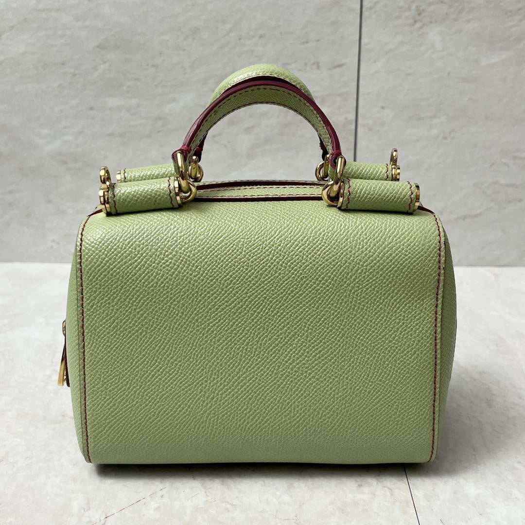 Dolce & Gabbana Hand Shoulder Bag Tote Purse 2way Leopard Leather Green Auth