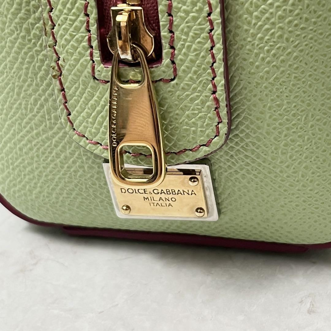 Dolce & Gabbana Hand Shoulder Bag Tote Purse 2way Leopard Leather Green Auth