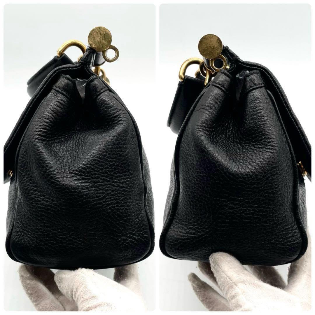 Dolce & Gabbana Shoulder Bag Purse 2way Leopard Leather Black Authentic