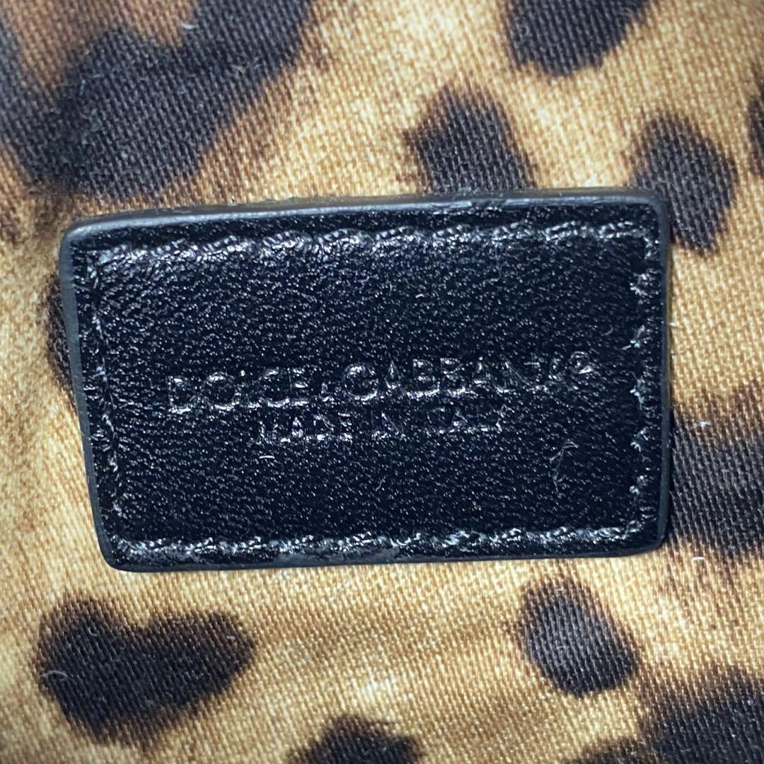 Dolce & Gabbana Accessory Pouch Hand Bag Tote Purse Leopard Leather Black Auth