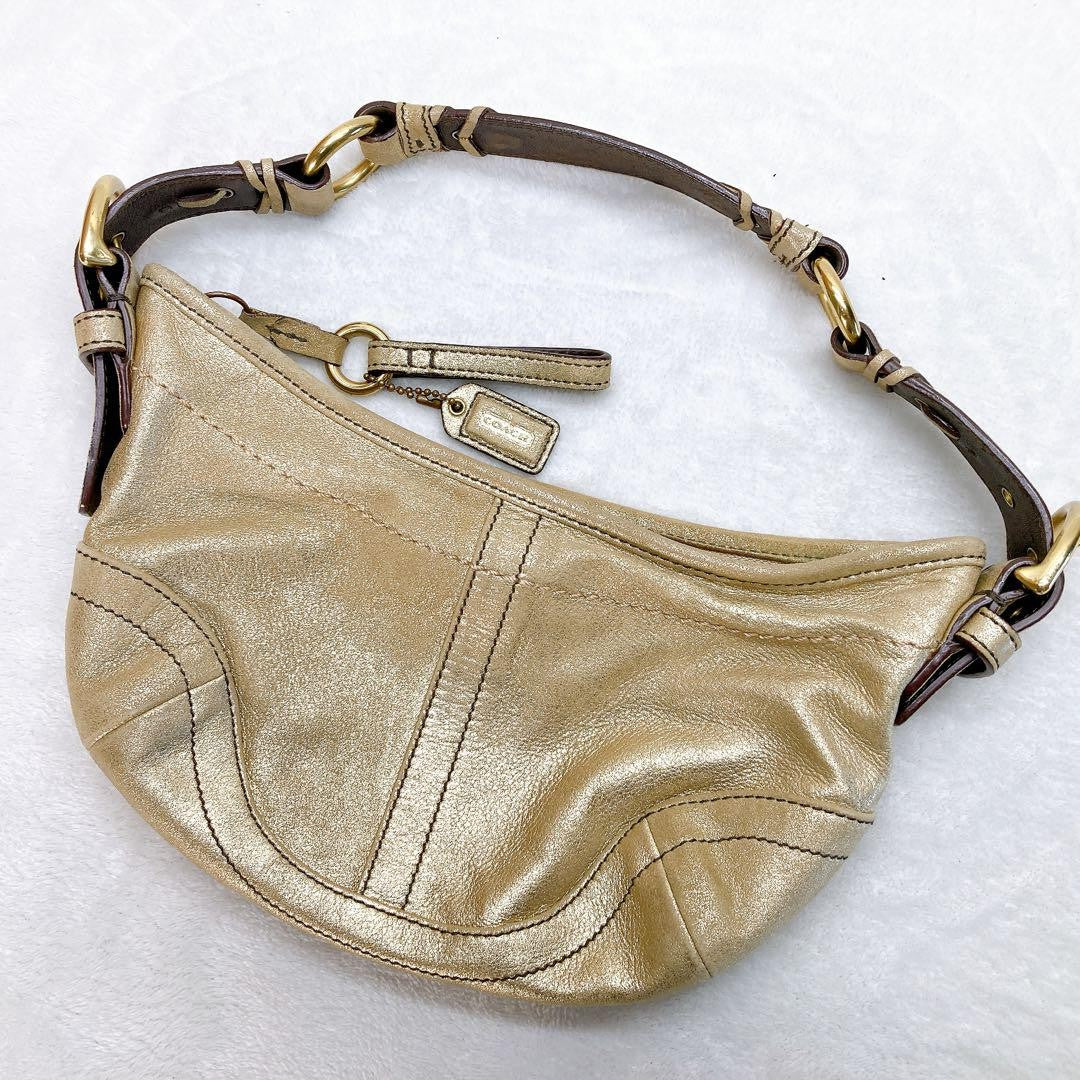 COACH Accessory Pouch Hand Bag Tote Purse 3685 Champagne Gold Authentic