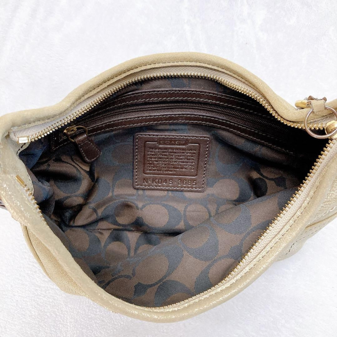 COACH Accessory Pouch Hand Bag Tote Purse 3685 Champagne Gold Authentic