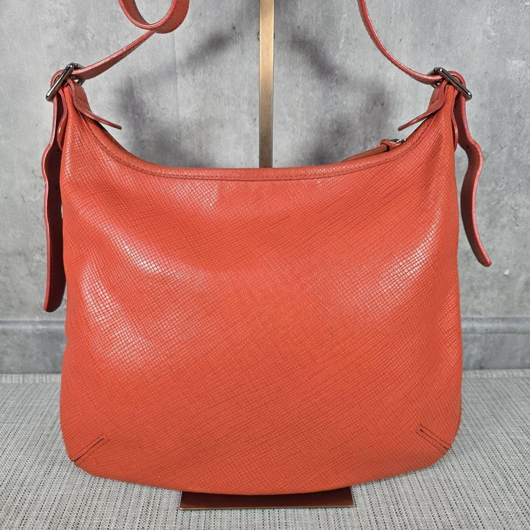 Longchamp shoulder bag Purse Orange Leather Authentic crossbody Women's Used