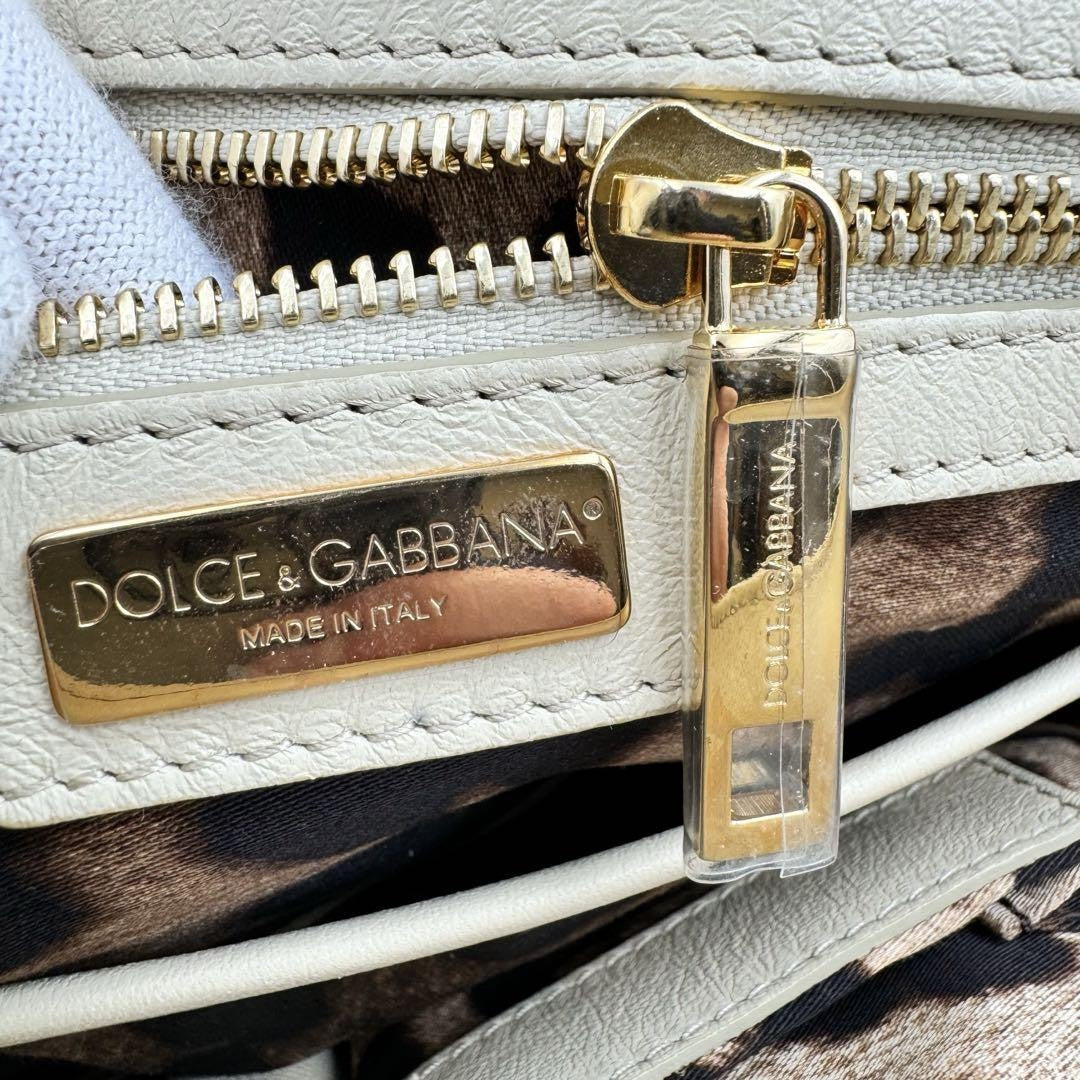Dolce & Gabbana Hand Shoulder Bag Tote Purse 2way Leopard Leather Beige Auth