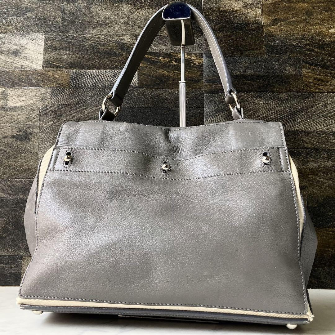 Saint Laurent Hand Bag Tote Purse Muse Toe Canvas Leather Gray Authentic
