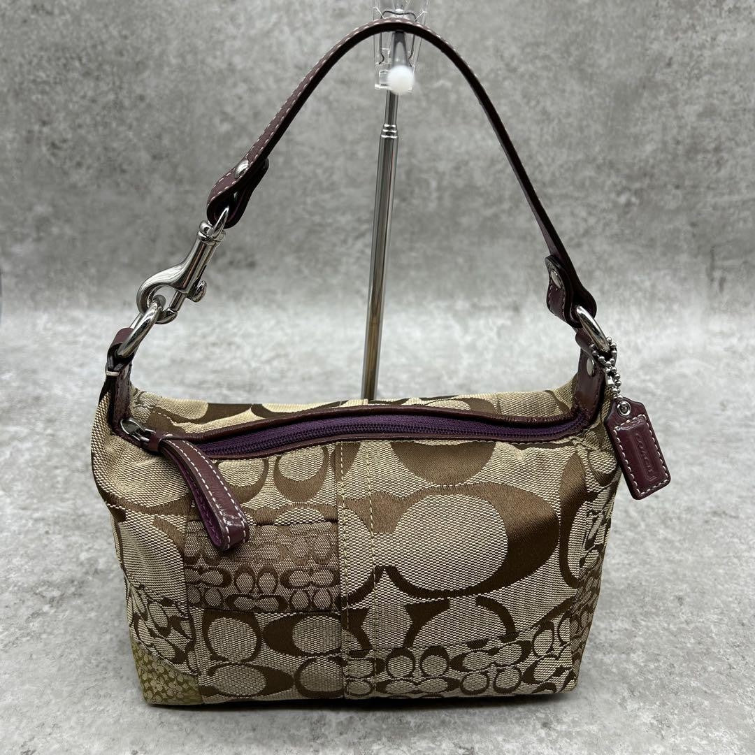 COACH Accessory Pouch Hand Bag Tote Purse Signature Canvas Leather Brown Auth