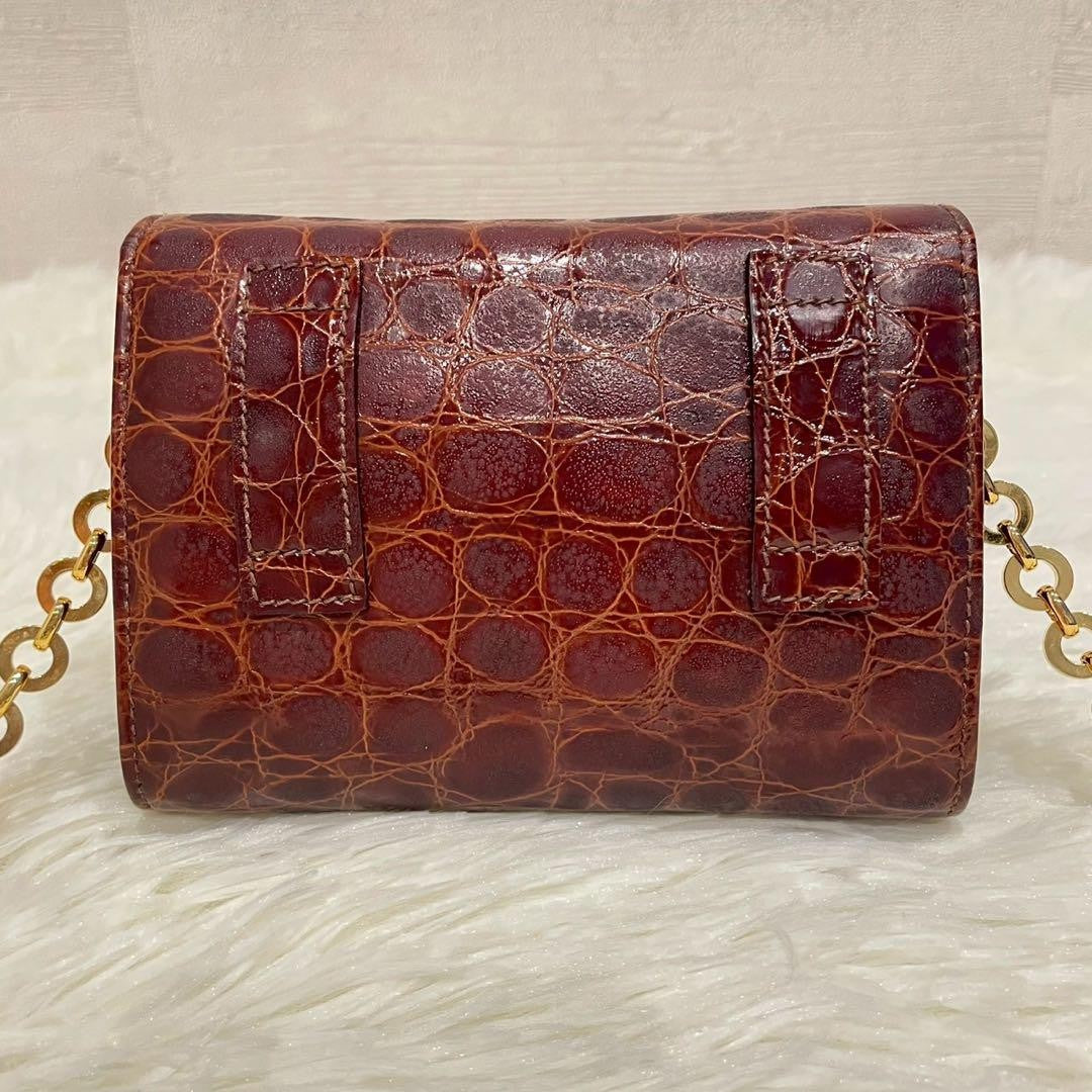 Salvatore Ferragamo Shoulder Bag Purse Chain Vara Ribbon Leather Brown Authentic