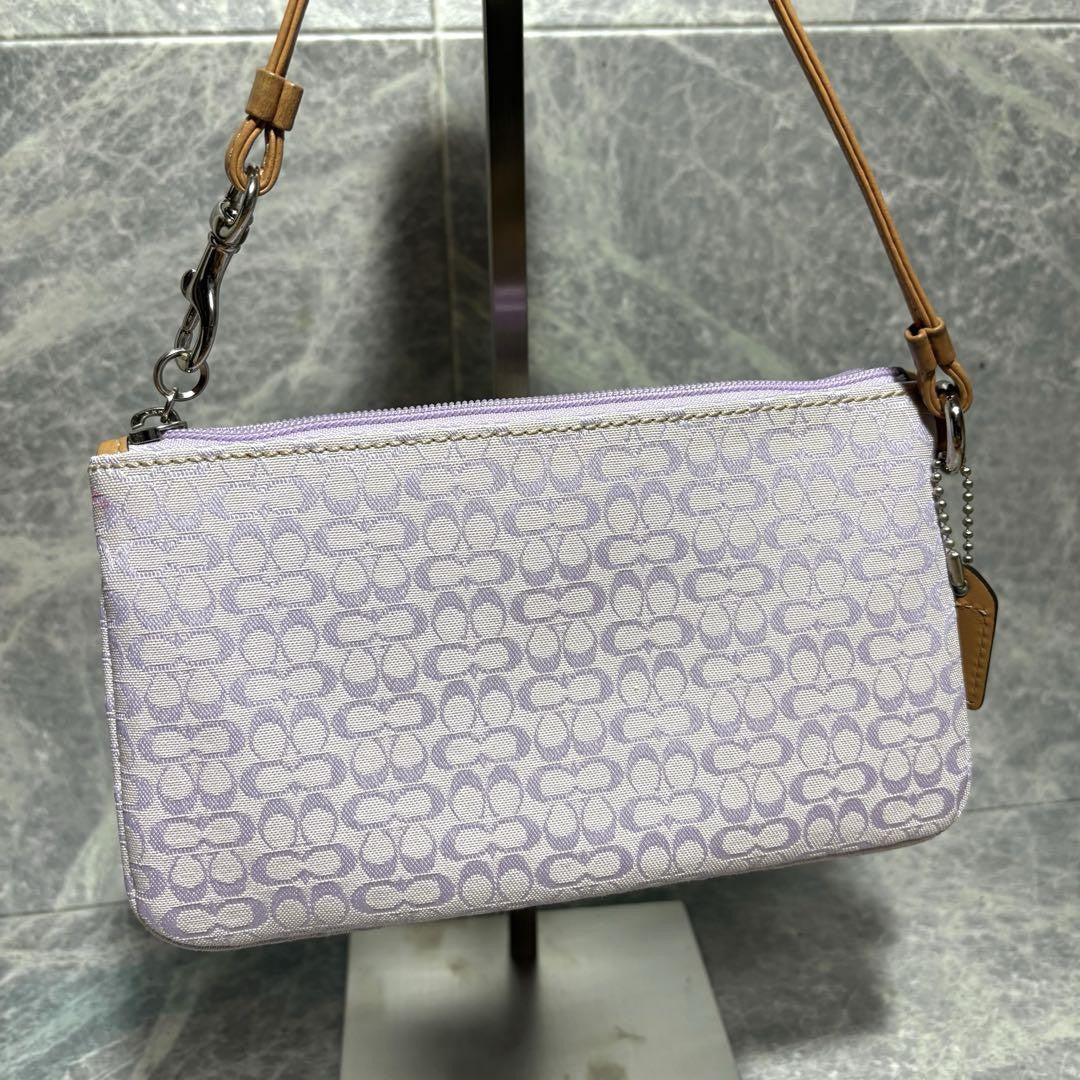 COACH Accessory Pouch Hand Pouch Signature Soho Pink Authentic