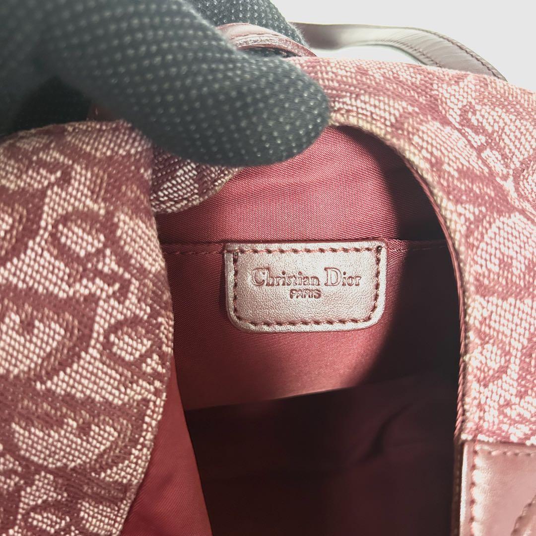 Christian Dior Hand Bag Tote Purse Trotter Canvas Leather Pink Authentic
