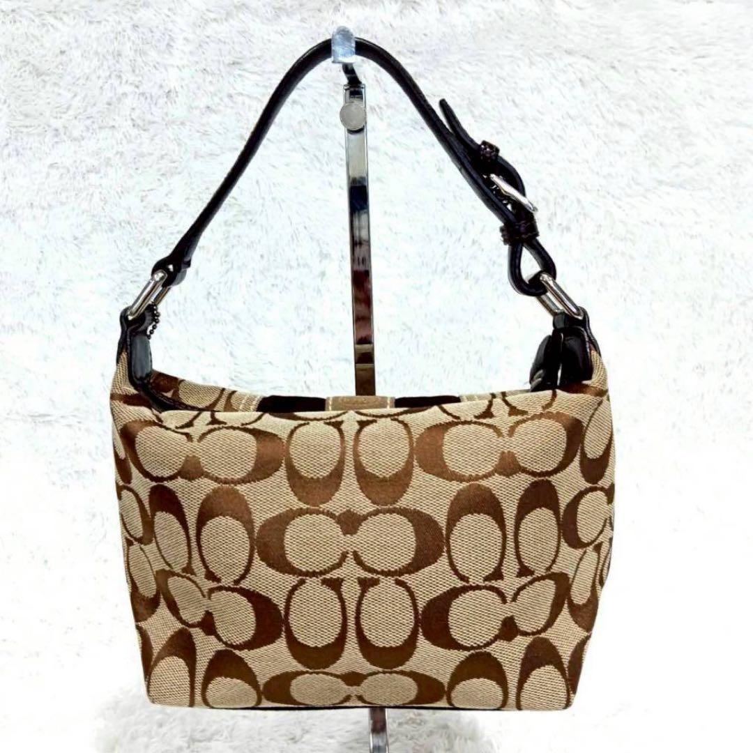 COACH Accessory Pouch Hand Bag Tote Purse Signature Canvas Suede Leather Brown