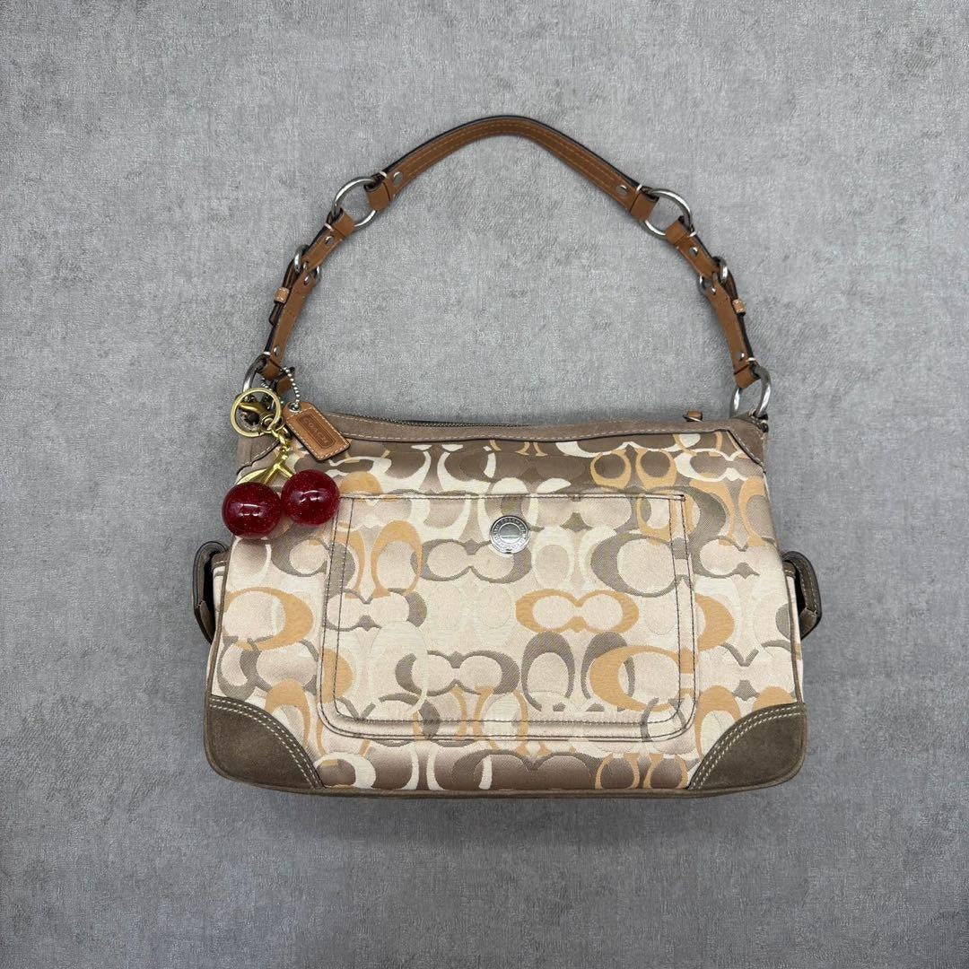 COACH Accessory Pouch Hand Bag Tote Purse Signature Suede Beige Authentic