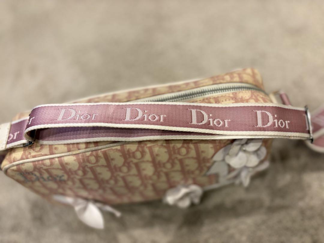 Christian Dior Shoulder Bag Purse Trotter No.1 Canvas Pink Authentic