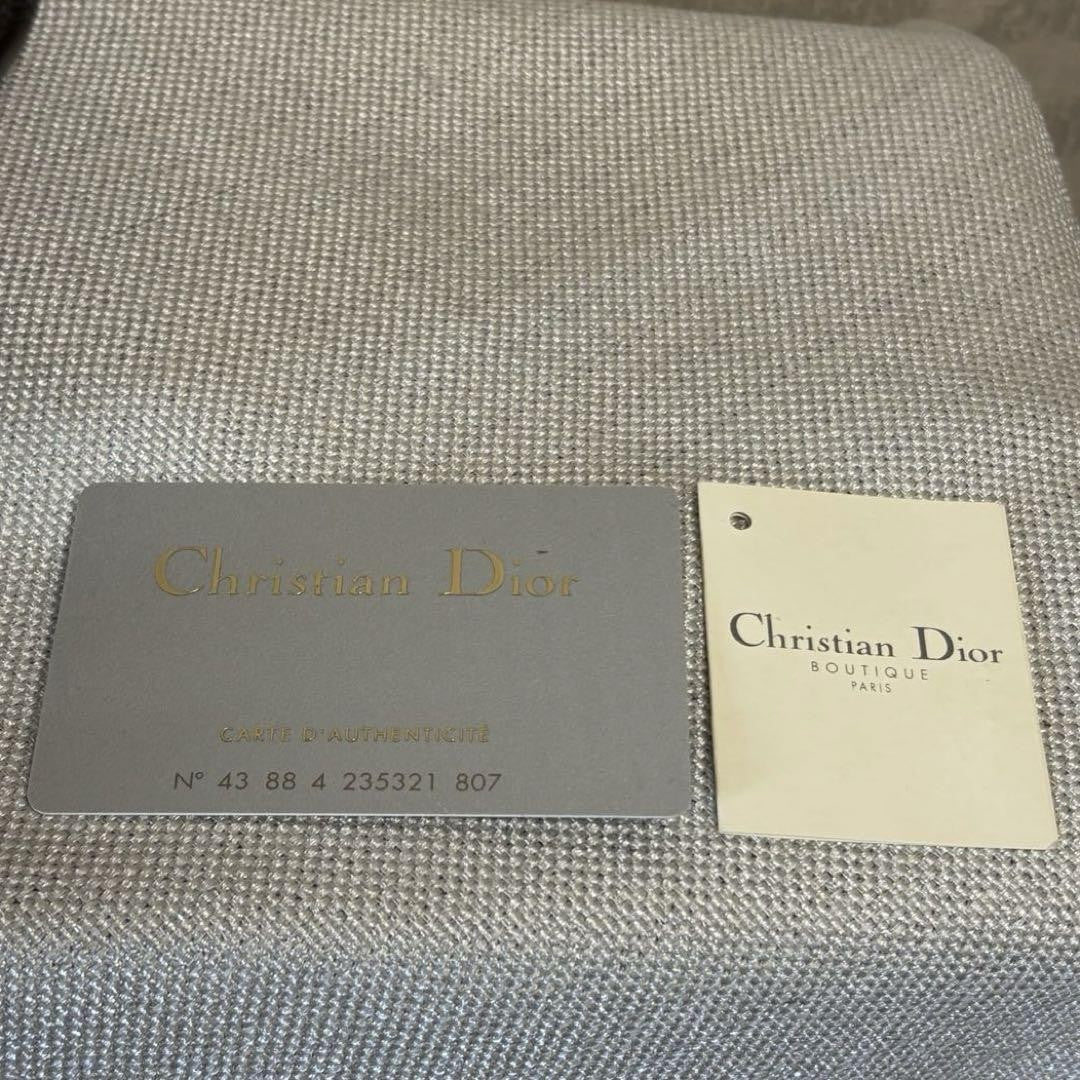 Christian Dior Clutch Bag Second Bag Trotter Brown Authentic