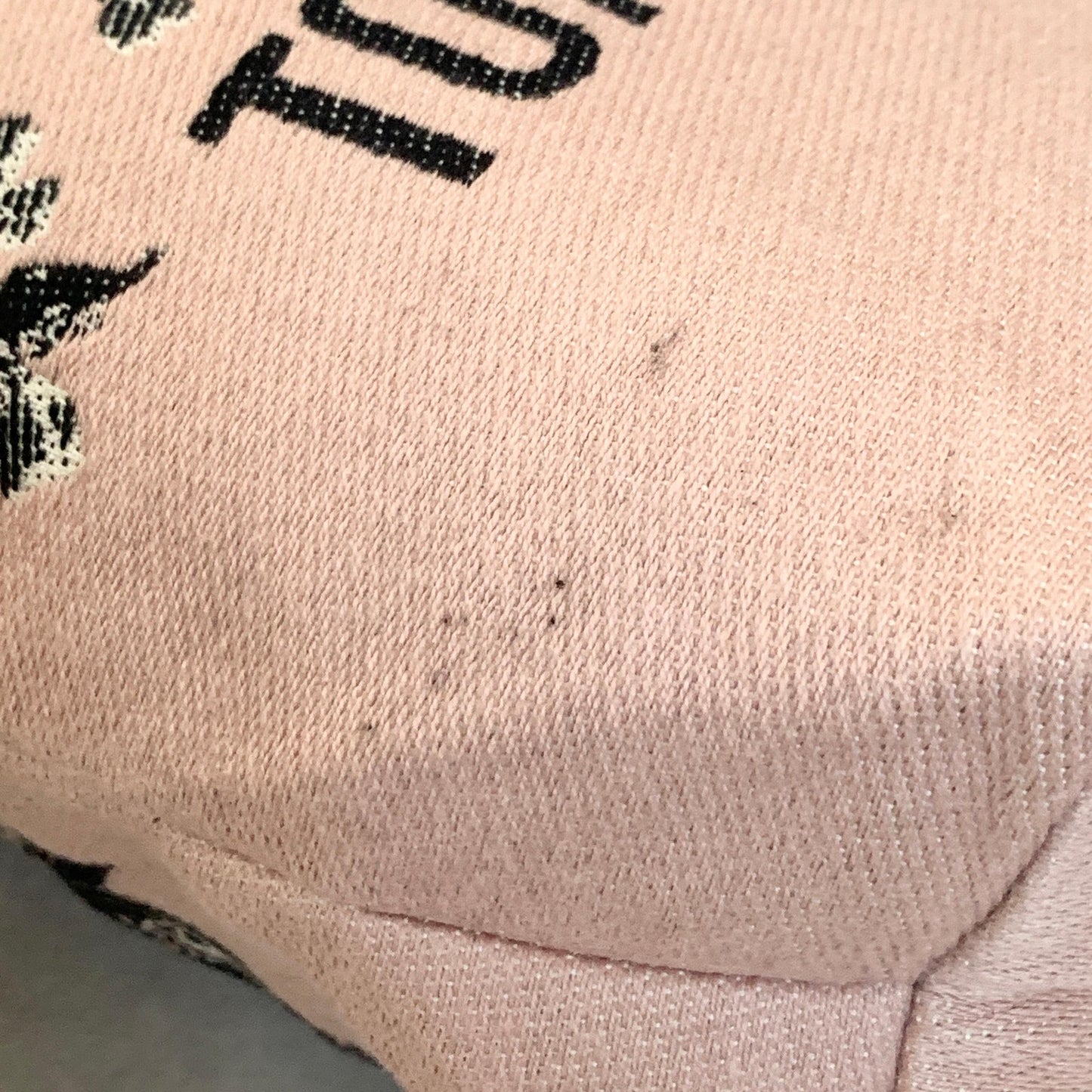Christian Dior  Tote Bag Logo Handbag Purse Canvas Pink Used Women's Authentic