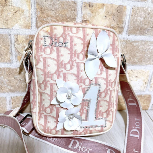 Christian Dior Shoulder Bag Purse Trotter No.1 Authentic