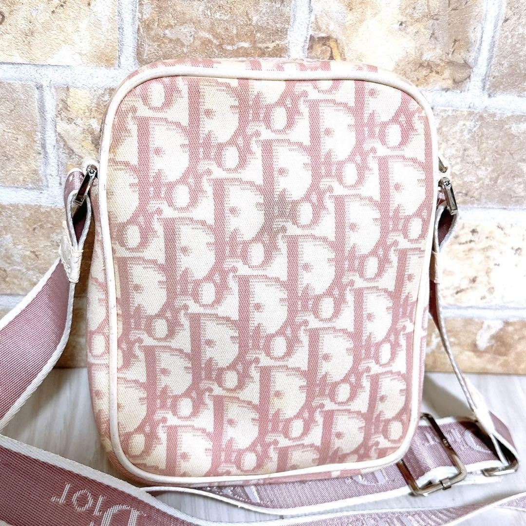 Christian Dior Shoulder Bag Purse Trotter No.1 Authentic
