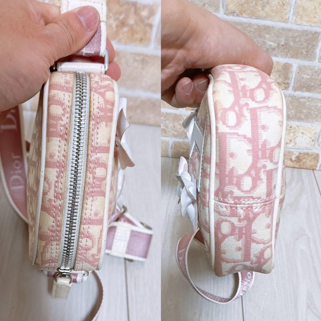 Christian Dior Shoulder Bag Purse Trotter No.1 Authentic