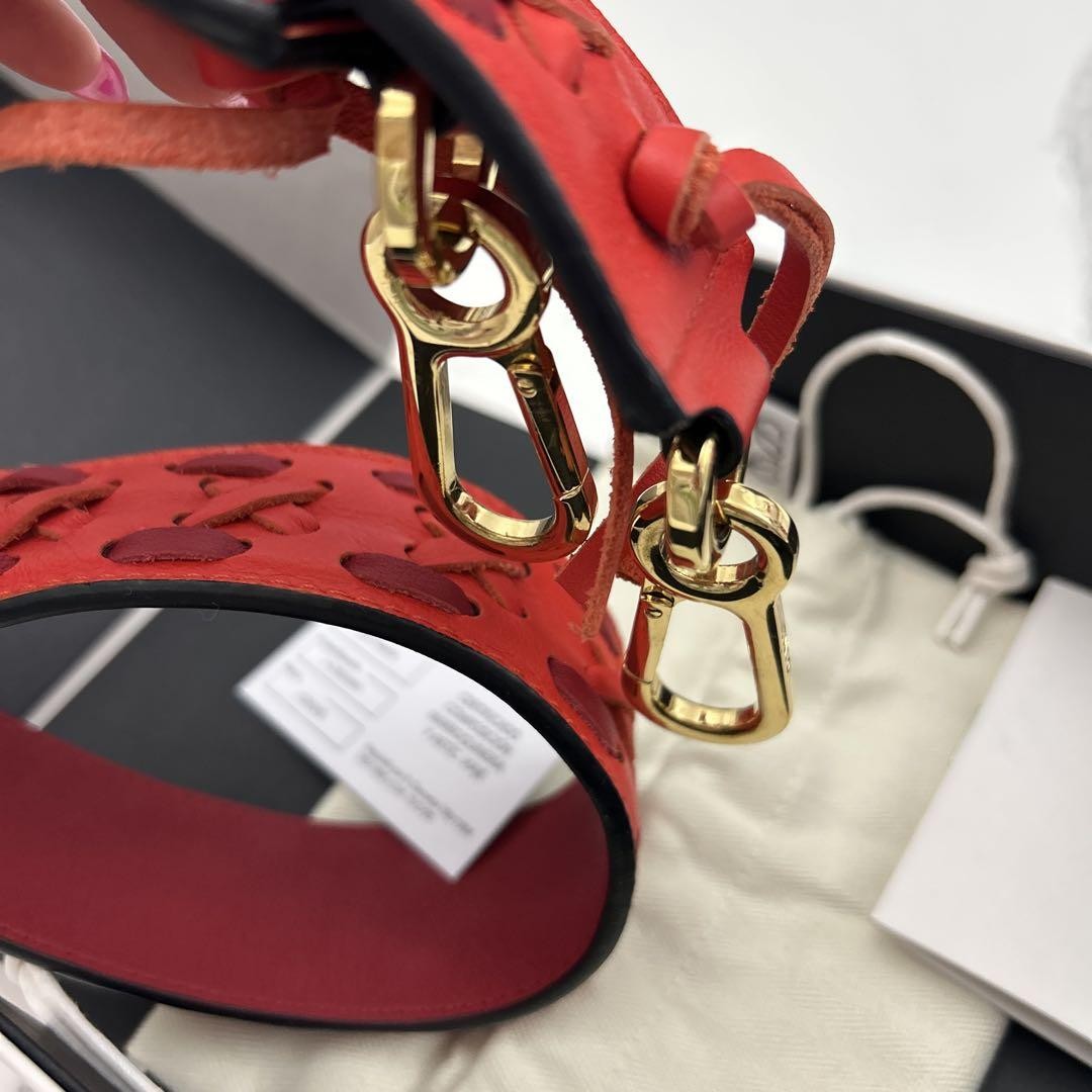 LOEWE Shoulder Strap Belt Leather Red Authentic