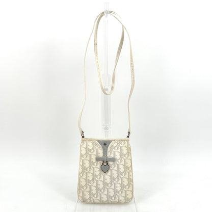 Christian Dior Shoulder Bag Purse Trotter Gray White Authentic