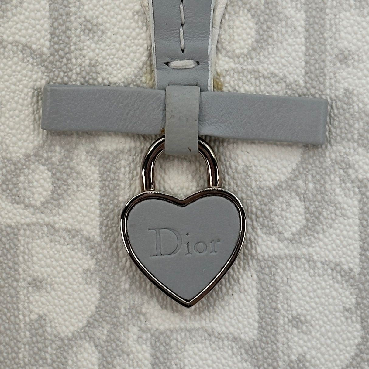 Christian Dior Shoulder Bag Purse Trotter Gray White Authentic