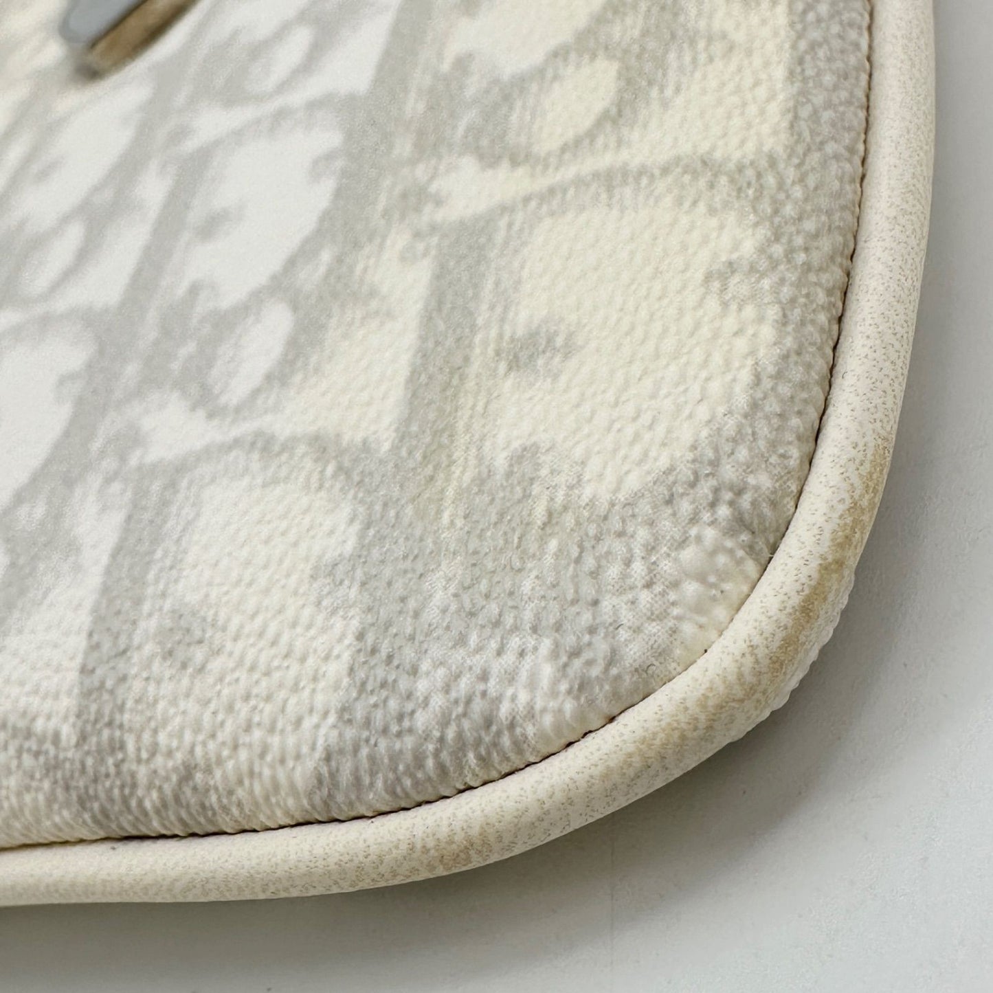 Christian Dior Shoulder Bag Purse Trotter Gray White Authentic