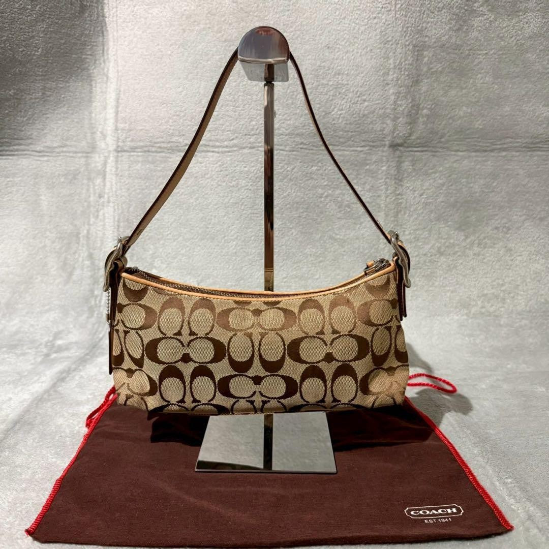 COACH Accessory Pouch Hand Bag Tote Purse Signature Leather Beige Authentic