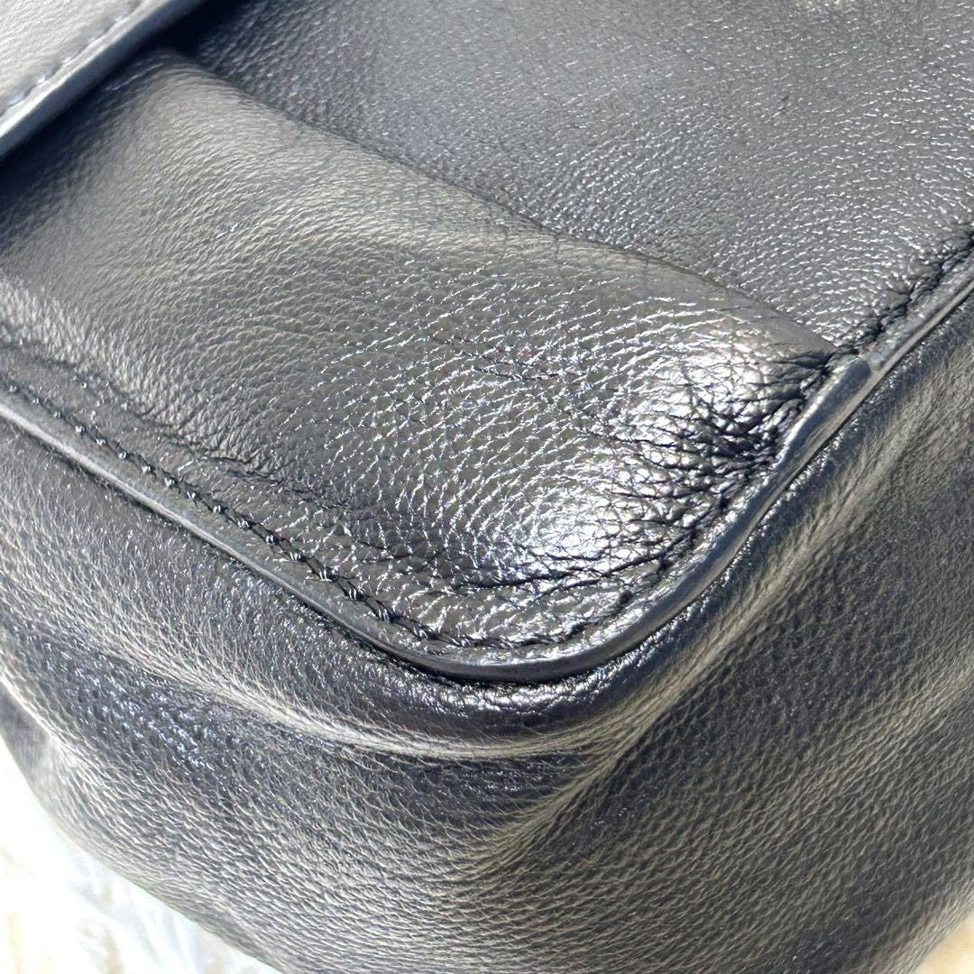 Chloe Shoulder Bag Purse 2way Elsie Leather Black Authentic