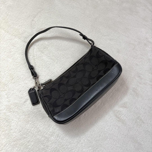 COACH Accessory Pouch Hand Bag Tote Purse Signature Black Authentic