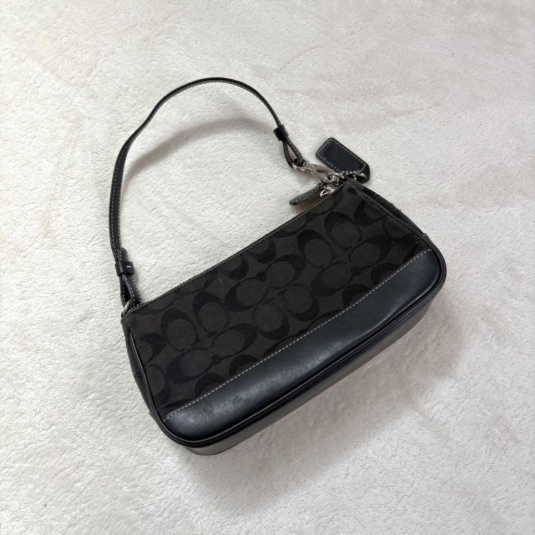 COACH Accessory Pouch Hand Bag Tote Purse Signature Black Authentic