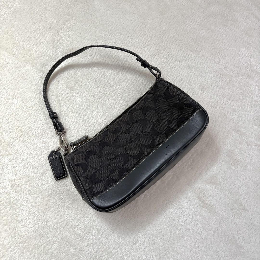COACH Accessory Pouch Hand Bag Tote Purse Signature Black Authentic