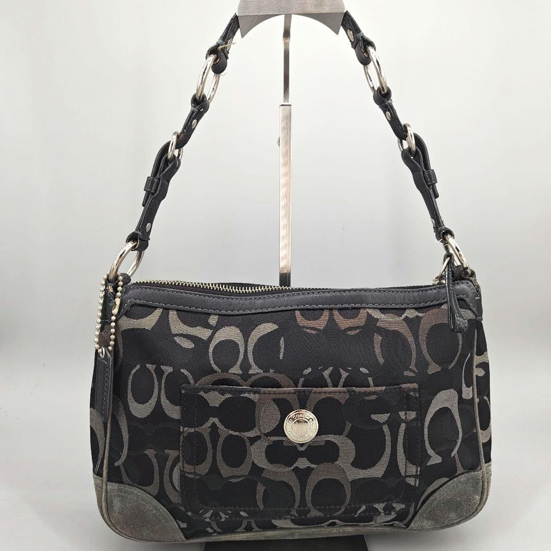 COACH Accessory Pouch Hand Bag Tote Purse Signature Black Authentic