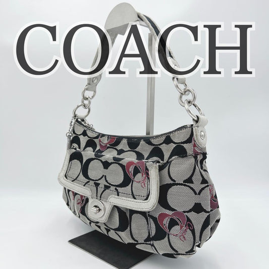 COACH Shoulder Bag Purse Accessory Pouch Signature Authentic