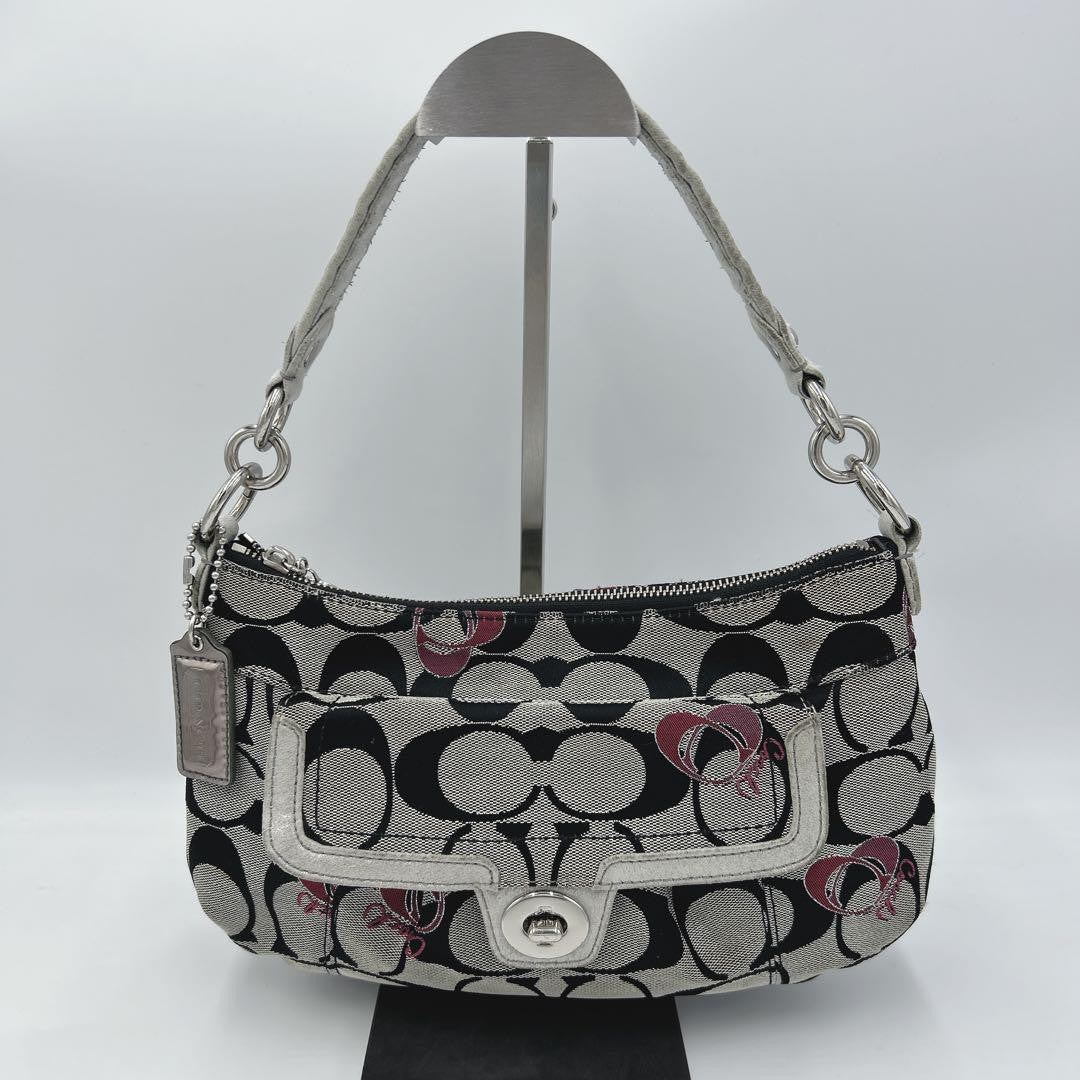 COACH Shoulder Bag Purse Accessory Pouch Signature Authentic